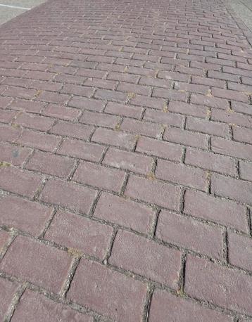 Prachtige gebakken partij pkf paars bruin! beschikbaar voor biedingen