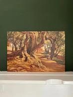 Frederick Arthur Bridgman Kunstkaart - Boomstam, Antiek en Kunst, Kunst | Schilderijen | Klassiek, Ophalen of Verzenden