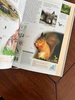 Boek wilde dieren nieuw, Ophalen of Verzenden, Zo goed als nieuw