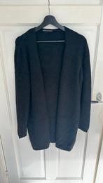 Vest Drykorn maat S, Kleding | Dames, Ophalen of Verzenden, Zo goed als nieuw, Maat 36 (S), Blauw