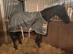 Horseware Amigo Hero Plus Lite 0gr regendeken, Ophalen of Verzenden, Zo goed als nieuw, Deken