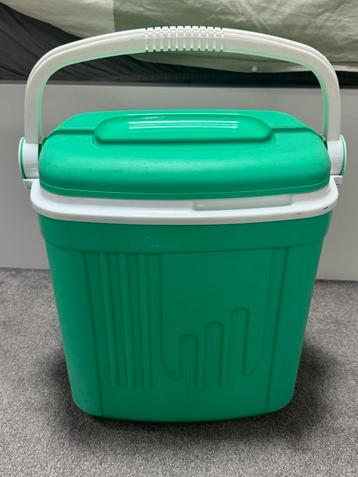 Groene Koelbox met Handvat beschikbaar voor biedingen