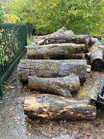 Haardhout op stam, Tuin en Terras, Haardhout, Ophalen of Verzenden