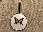 Vlinder in zilveren lijst, Ophalen of Verzenden, Zo goed als nieuw