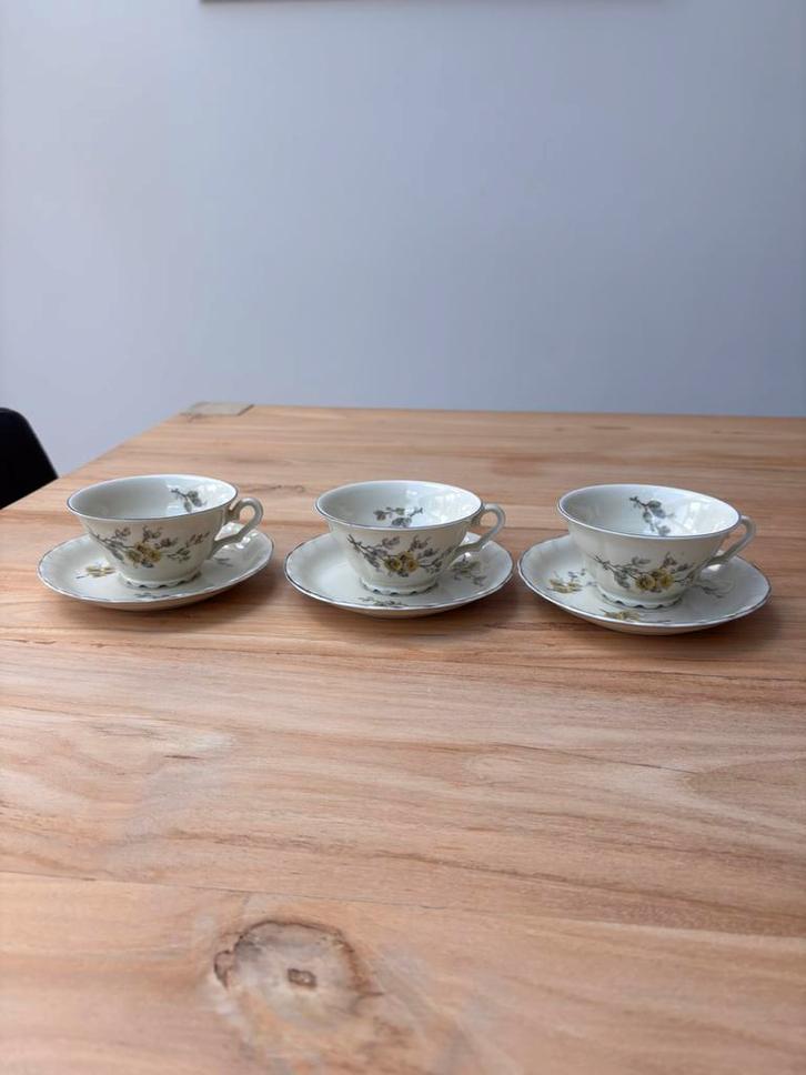 Prachtige vintage porseleinen kop + schotels Mosa Maastricht, Antiek en Kunst, Antiek | Servies compleet, Ophalen of Verzenden