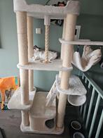 Nieuw huisje voor onze lieve ragdolls gezocht, Kater