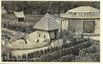 Emmen- -Apenverblijf Noorderdierenpark., Verzenden, 1960 tot 1980, Ongelopen, Drenthe
