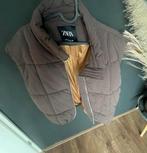 Zara cropped bodywarmer Size L nieuw, Kleding | Dames, Bodywarmers, Ophalen of Verzenden, Zo goed als nieuw