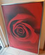 Schilderij roos, aluminium lijst, 100 bij 60 cm, Ophalen of Verzenden