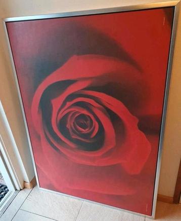 Schilderij roos, aluminium lijst, 100 bij 60 cm beschikbaar voor biedingen