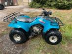 Suzuki quad