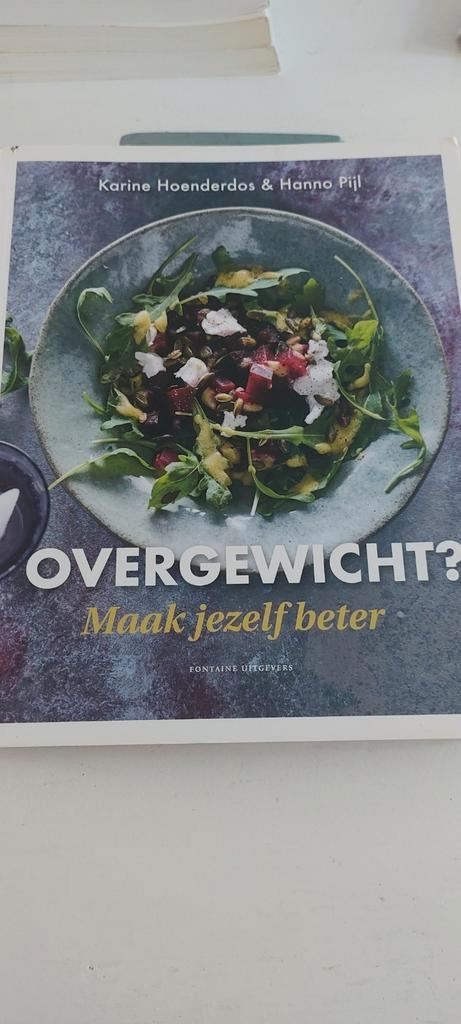 Karine Hoenderdos - Overgewicht? Maak jezelf beter!, Boeken, Gezondheid, Dieet en Voeding, Zo goed als nieuw, Dieet en Voeding