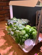 IKEA Krydda / Växer Kweekset, Tuin en Terras, Kweekspullen, Ophalen, Gebruikt, Kweekbak