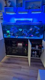 Zeewater aquarium Red Sea 525XL met alles erop en eraan., Ophalen, Zo goed als nieuw
