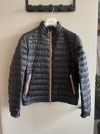 Moncler Daniel jas, Moncler, Blauw, Maat 48/50 (M), Ophalen of Verzenden