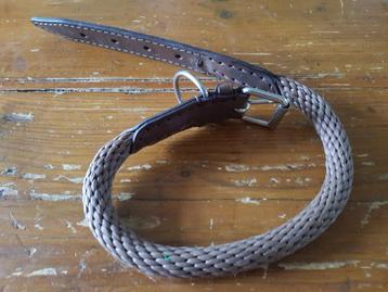 Mooie hondenhalsband beschikbaar voor biedingen