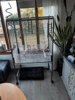 Papagaaienkopi, Dieren en Toebehoren, Ophalen, Gebruikt, Hout, Vogelkooi