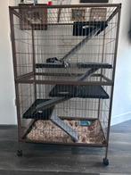 Ratten of frettenkooi, Ophalen, Zo goed als nieuw, 75 tot 110 cm, Kooi