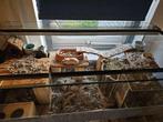 Terrarium 100x50x50, Dieren en Toebehoren, Knaagdieren en Konijnen | Hokken en Kooien, Gebruikt, Overige typen, Hamster, 75 tot 110 cm