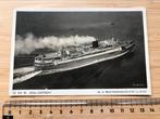 D.M.S. Baloerang Schip Rotterdamsche LLoyd Kaart Scheepvaart, Verzamelen, Ophalen of Verzenden, Zo goed als nieuw, Motorboot, Kaart, Foto of Prent