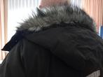 winterjas, Kleding | Heren, Maat 52/54 (L), Brunotti, Nieuw, Ophalen of Verzenden