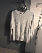 Truitje, Kleding | Dames, Ophalen of Verzenden, Zo goed als nieuw, Lange mouw, Grijs