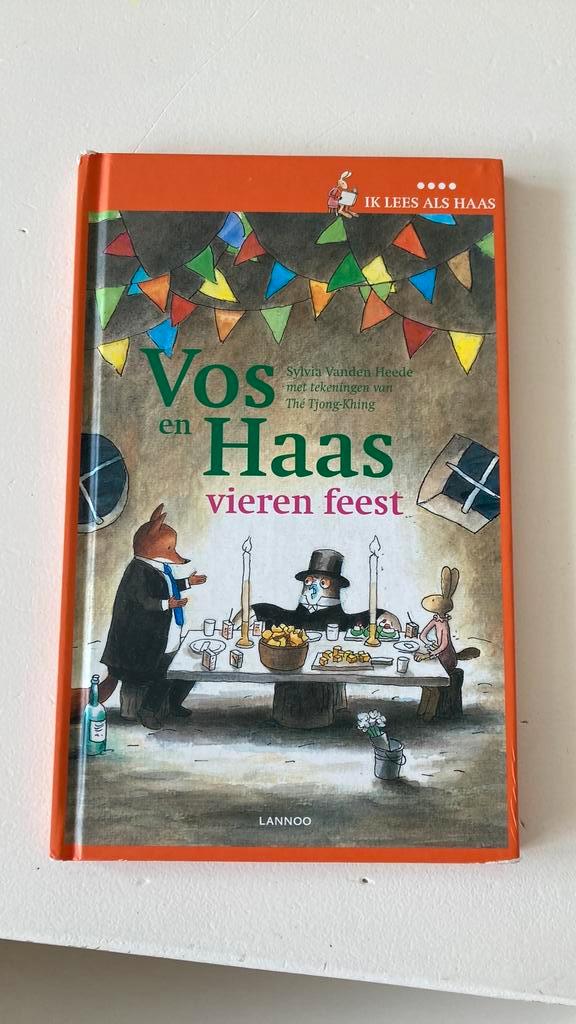 Sylvia Vanden Heede - Vieren feest, Boeken, Kinderboeken | Jeugd | onder 10 jaar, Zo goed als nieuw, Ophalen of Verzenden