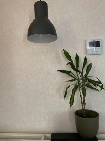 Nieuwe IKEA HEKTAR Hanglamp (in doos) beschikbaar voor biedingen