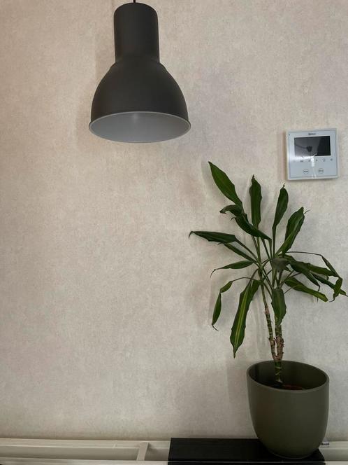 Nieuwe IKEA HEKTAR Hanglamp (in doos), Huis en Inrichting, Lampen | Wandlampen, Nieuw, Ophalen