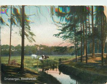 (388-024-003) Driebergen-Rijsenburg Boschweide beschikbaar voor biedingen