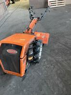 Goldoni Frees - Gebruikt, Ophalen, Gebruikt