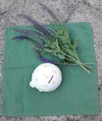 Spaarpot schildpad ontzettend leuk gedecoreerd van keramiek., Verzamelen, Spaarpotten, Verzenden, Zo goed als nieuw, Steen, Aardewerk of Keramiek