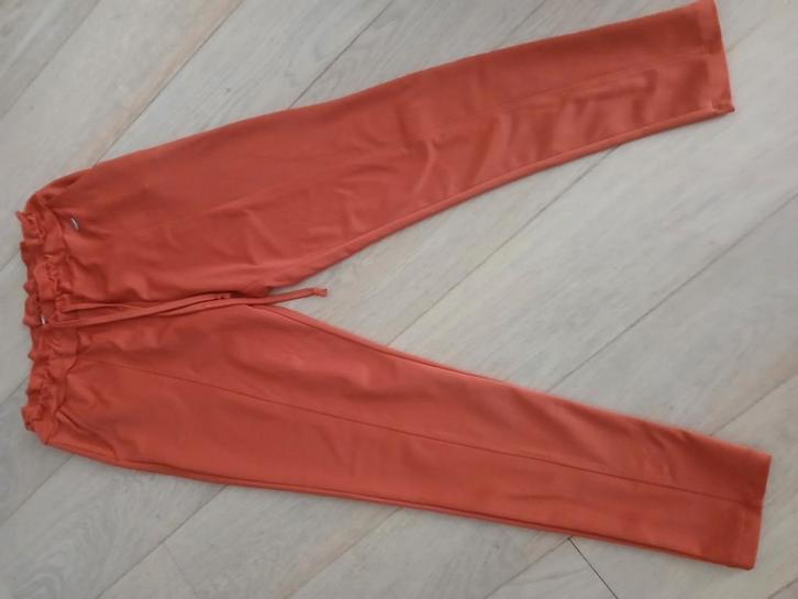 Angelle Milan broek, maat L, Kleding | Dames, Broeken en Pantalons, Zo goed als nieuw, Lang, Ophalen of Verzenden