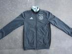 Mooi trainingsjack van AJAX maat 140, Adidas, Jongen of Meisje, Sport- of Zwemkleding, Ophalen of Verzenden