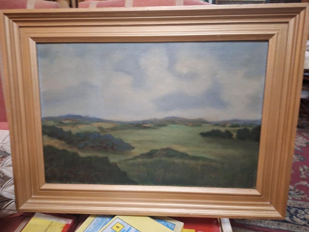 Schilderij Duinlandschap Door de Boer, Antiek en Kunst, Kunst | Schilderijen | Klassiek, Ophalen of Verzenden