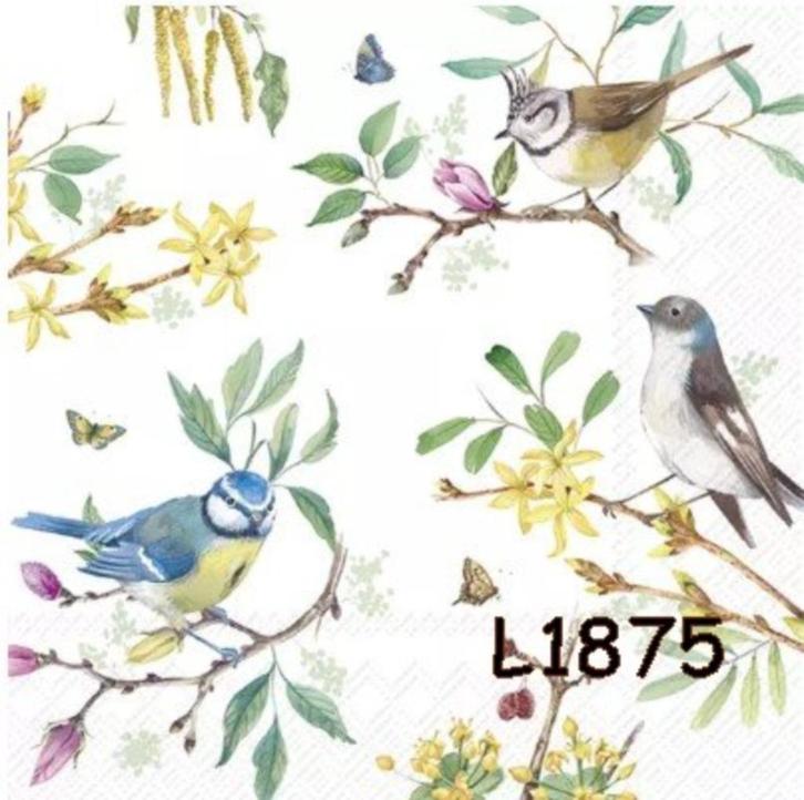 Servetten decoupage/bullet journal * Vogels L1875, Hobby en Vrije tijd, Knutselen, Nieuw, Materiaal, Verzenden