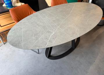 Nieuw Harvink Fier eettafel Keramiek Blad Design Tafel beschikbaar voor biedingen