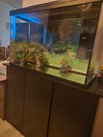 aquarium 160/180 liter, Ophalen, Leeg aquarium