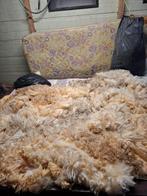 Grote vacht, ruw, van Texelaar , voor spinnen, Ophalen of Verzenden