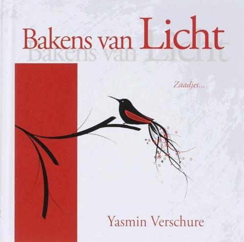 bakens van licht - Yasmin Verschure, Boeken, Esoterie en Spiritualiteit, Zo goed als nieuw, Achtergrond en Informatie, Ophalen of Verzenden