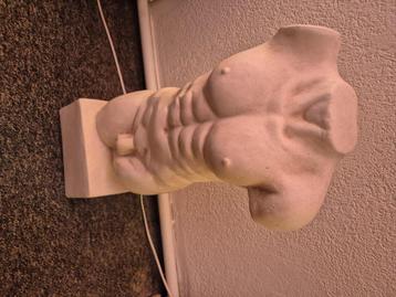 Torso beeld (man) beschikbaar voor biedingen