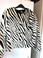 BONTJAS DAMES MAAT 42, H&M, Wit, Maat 42/44 (L), Ophalen of Verzenden