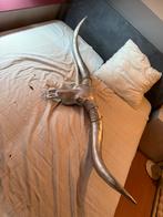 Longhorn schedel decoratie - 170cm, Ophalen, Zo goed als nieuw