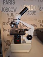 Microscoop