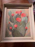 Schilderij M. Meuldijk Cactus, Antiek en Kunst, Ophalen