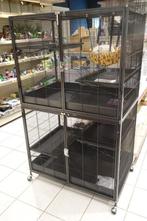 Grote rattenkooi., Meerdere dieren, Hamster, Na 1 juli 2024, Tam
