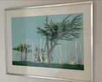 Sees Vlag - zeefdruk - ‘Bomen l’ile Grande’ (1971), Antiek en Kunst, Kunst | Litho's en Zeefdrukken, Ophalen