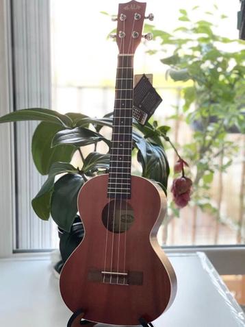 Ukulele kala tenor beschikbaar voor biedingen