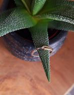 14 karaat gouden dames ring geel- en witgoud, 0,02 crt., ., Ophalen of Verzenden, ., Met edelsteen