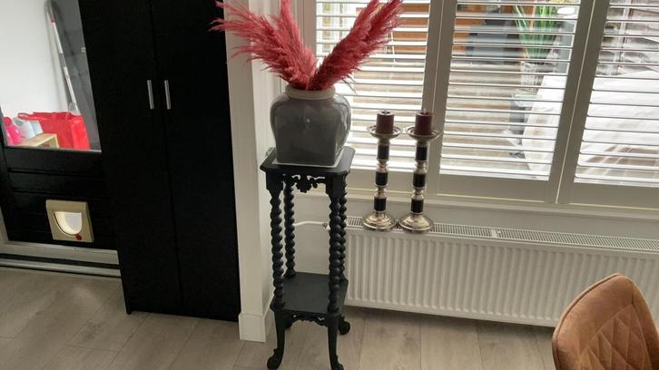 Antieke plante tafel opgepimt plaatje👌👌👌, Huis en Inrichting, Tafels | Sidetables, Zo goed als nieuw, 25 tot 50 cm, 100 tot 150 cm